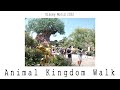 Disney&#39;s Animal Kingdom 2022 Walking Tour in 4K | Walt Disney World Orlando Florida