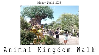 Disney&#39;s Animal Kingdom 2022 Walking Tour in 4K | Walt Disney World Orlando Florida