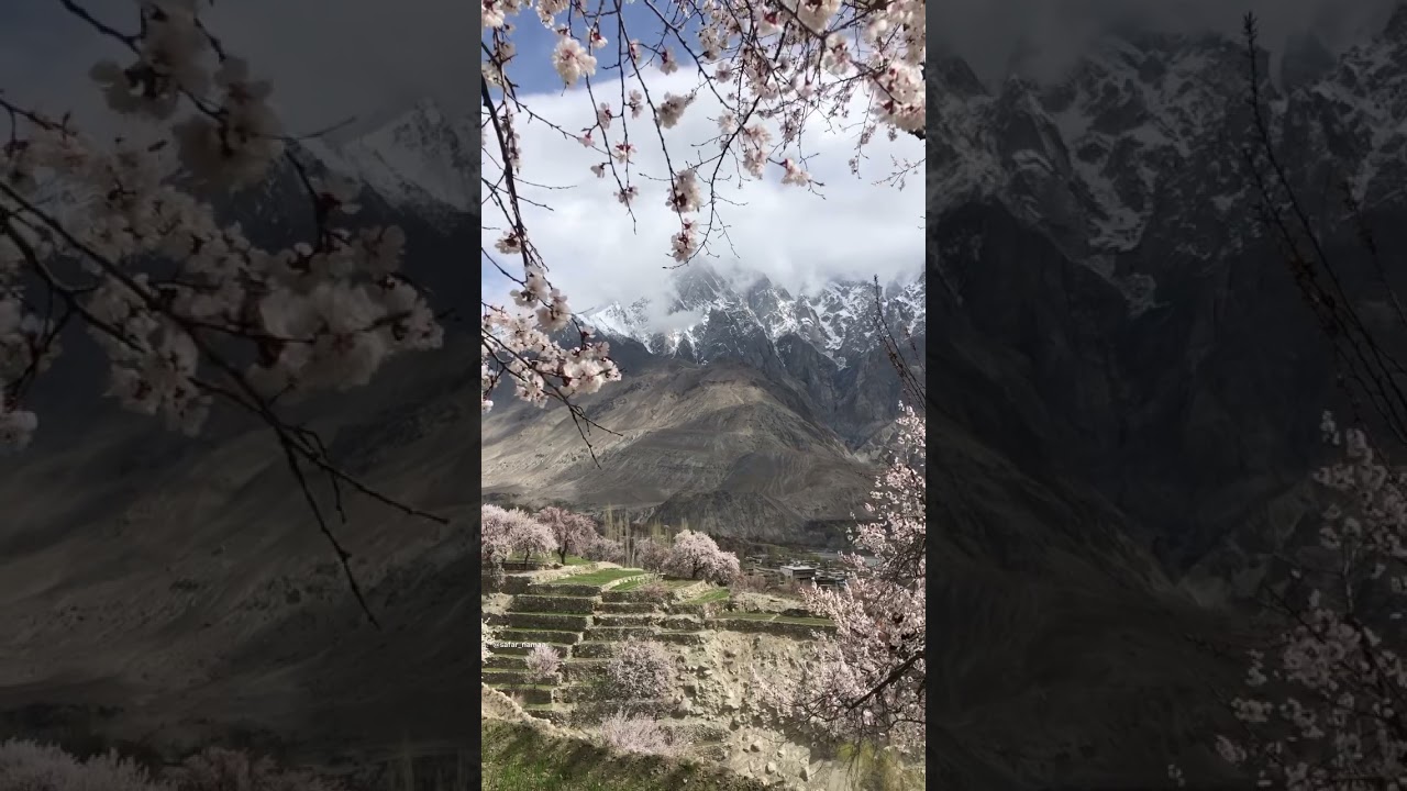 Nature Videos 4k | Ultra HD Nature Videos 4k | Nature 4k Ultra HD video | Vertical video 4k Nature