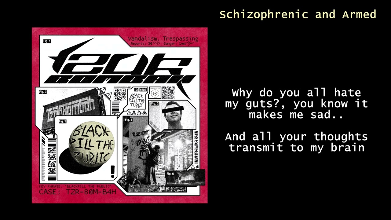 Schizophrenic and Armed