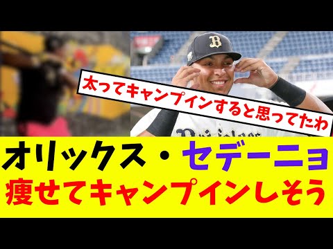 【オリックス】セデーニョ痩せてキャンプインしそう【プロ野球反応集】【5chスレ】