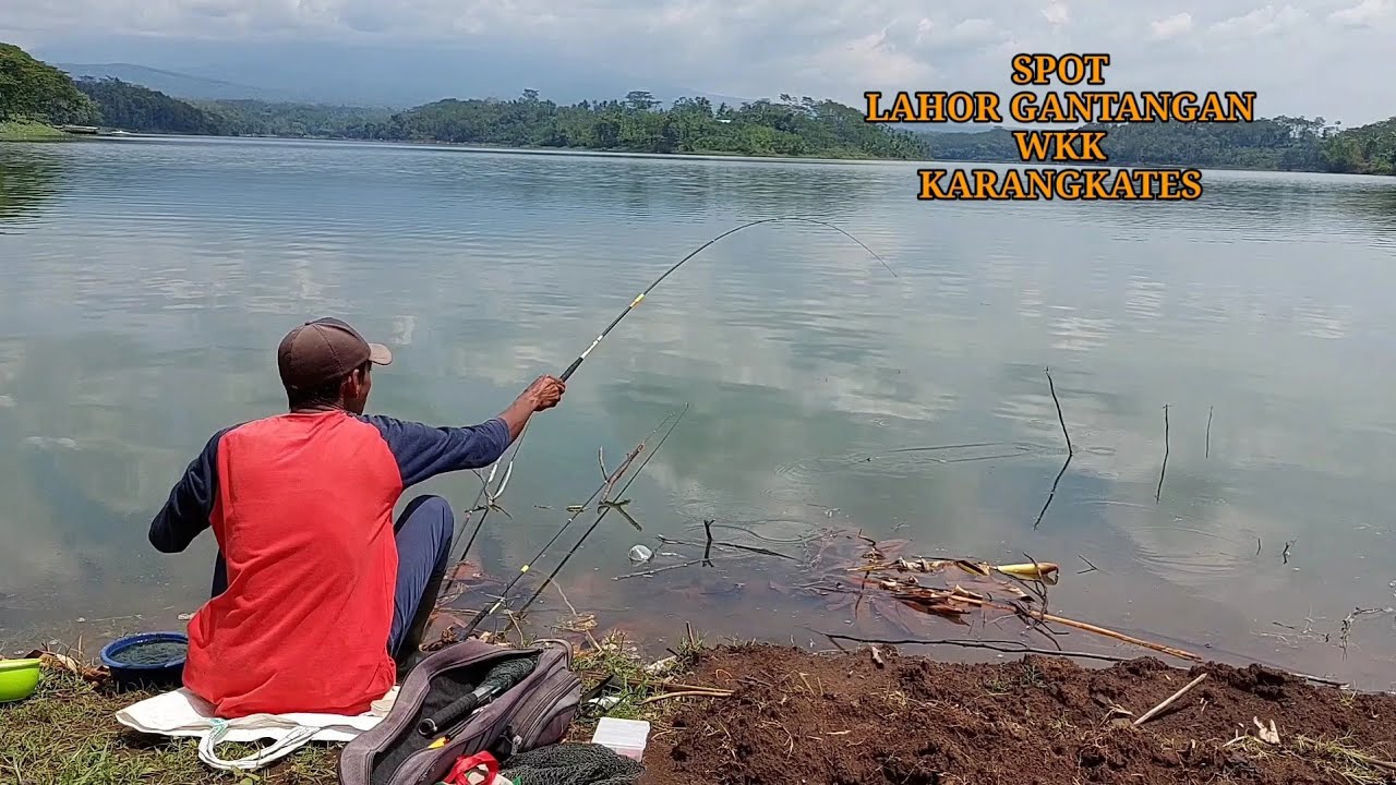 Top reques‼️ spot LAHOR GANTANGAN WKK Karangkates