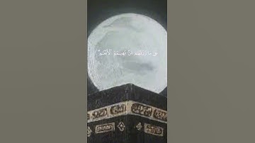 وَأَذِّنْ فِي النَّاسِ بِالْحَجِّ | سورة الحج | سعد الغامدي | تلاوة خاشعة وجميلة وهادئ