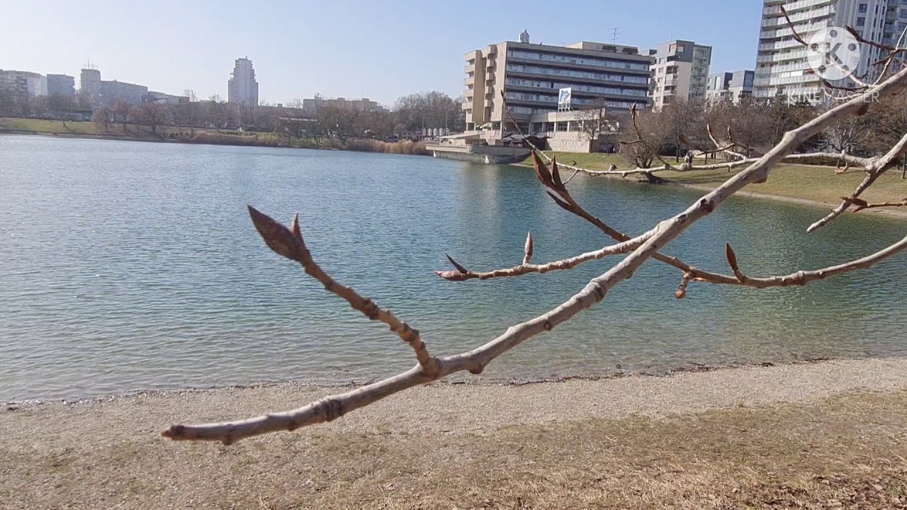 vlog 15: cách đếm số từ 1 đến 1000, tiếng slovakia .