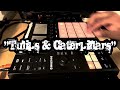 Native Instruments Maschine MK3: "Tulips & Caterpillars"...