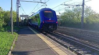 Treno a Montelupo-Capraia 
