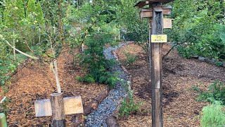 South Carolina Food Forest End of Year 3