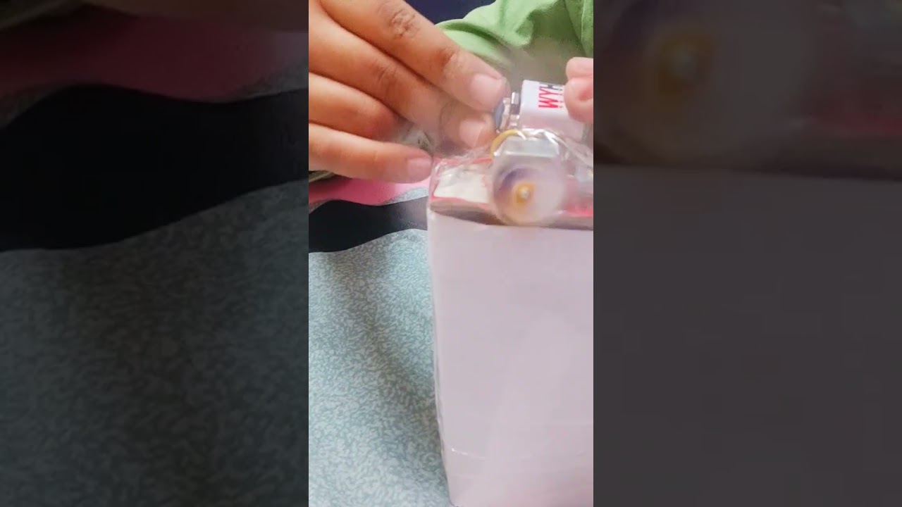 working windmill modle