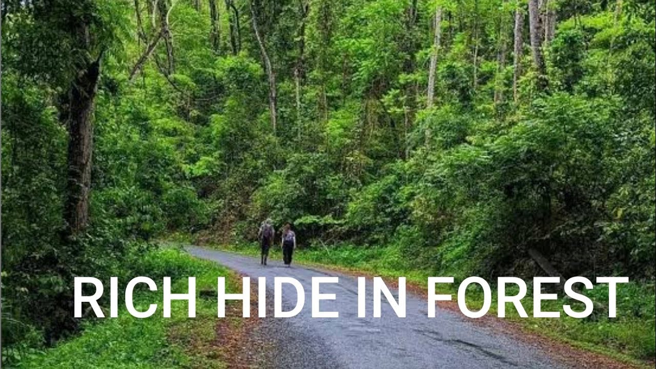 WHERE THE RICH PEOPLE HIDE IN MOROGORO TANZANIA...FOREST 