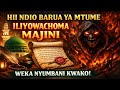HII NDIO BARUA YA MTUME ILIYOWACHOMA MAJINI WEKA NYUMBANI KWAKO HII NDIO BARUA YA MTUME ILIYOWACHOMA MAJINI WEKA NYUMBANI KWAKO