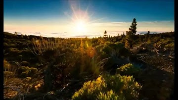 سورة النحل - تلاوة خاشعة وهادئة - معاذ زغبي