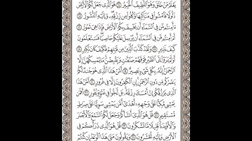 سورة الملك تلاوة الشيخ محمود الرفاعي