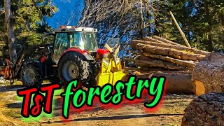 🌲#waldarbeit 🌲 #forstarbeit🌳  fällen mit Bast-Ing Fällkeil und Seilwinde Uniforest 85 Hpro ✔️