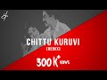 Chittu kuruvi mutham koduthu  rm sathiq  remix