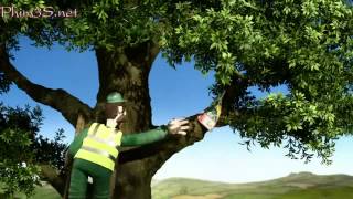 Shaun The Sheep Draw The Line