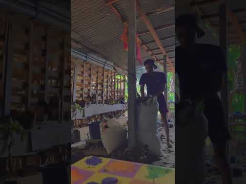 Najwa shihab :