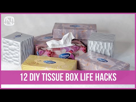 12 tissue box