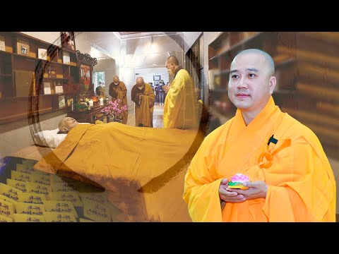 Video Thầy Pháp Hòa - Ngày 24.01.2022 - Thầy nói về cái Chết... - youtube
