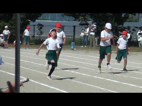 運動会小学校4年生ここあ60m走