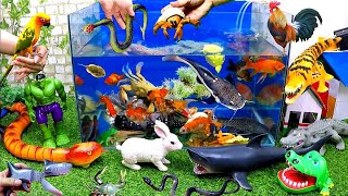 Catch Cute Animals, Rainbow Chicken, Rabbit, Turtle, Catfish, Crocodile, Goldfish, Crab