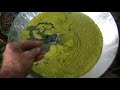 Штучне культивування водоростей  Artificial cultivation of algae