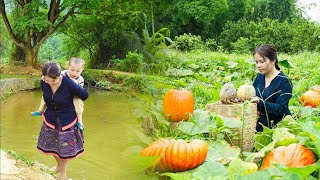 Daily life of an ethnic girl and her mentally disabled son  Harvesting Pumpkins goes to sell