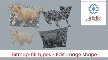Bitmap fills edit image shape
