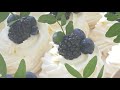 Мини пирожные ПАВЛОВА 🌸ПОШАГОВЫЙ РЕЦЕПТ🌸 PAVLOVA MINI CAKE