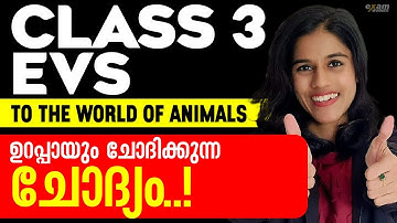 CLASS 3 EVS | TO THE WORLD OF ANIMLALS | WATCH THIS BEFORE YOUR EXAM 💥 | IMPORTANT QUESTION