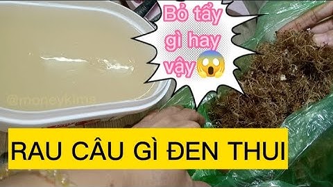 Cách nấu xu xoa từ rau câu nguyên chất,tác dụng lợi ích của rong biển lạ ở đảo Lý Sơn quảng ngãi