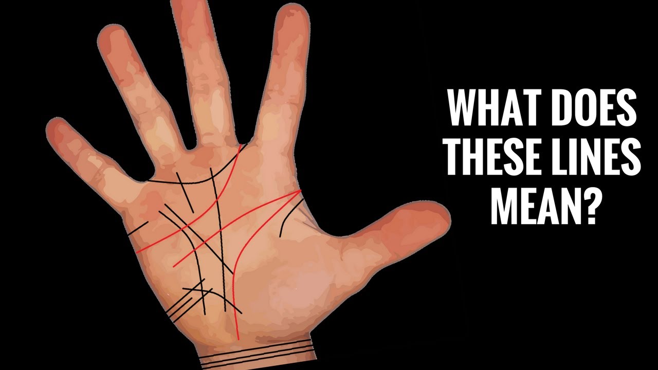 Palmistry Basics: Palmistry Illustrated guide | Auntyflo.com