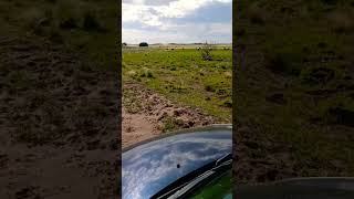 Los valles de La Pampa