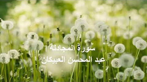 عبد المحسن العبيكان سورة المجادلة