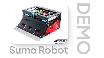 Sumo Robot | IT Project