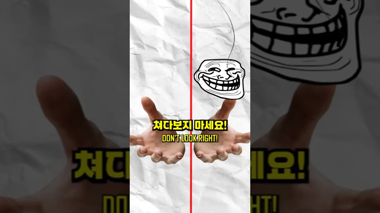 절대 오른쪽을 쳐다보지마세요!!(챌린지)