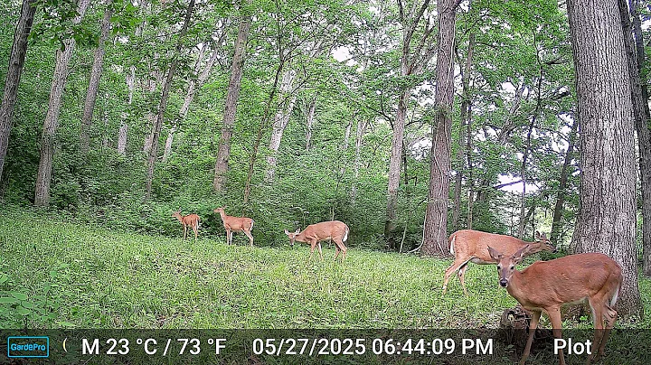 GardePro X60 Pro Max (LIVE STREAM CELL CAMERA)