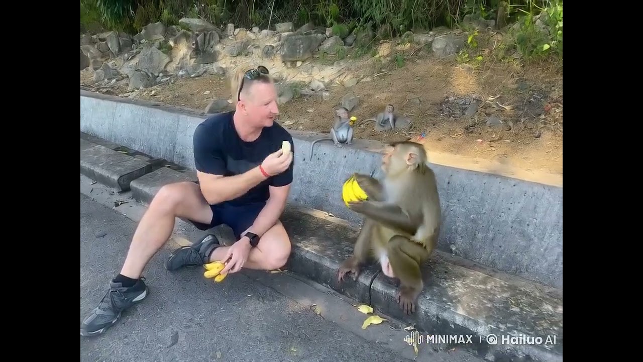Give Banana To Monkeys At Sihanoukville From Cruiseship Guests YouTube Give Banana To Monkeys At Sihanoukville From Cruiseship Guests YouTube