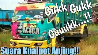 Truck Suara Knalpot Anjingg,,, Gukk, gukk, gukk, guuukk