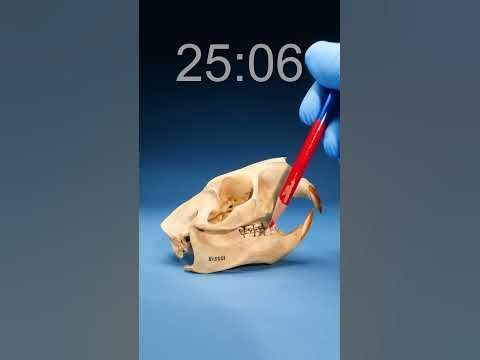 Did you get it right? What time? - YouTube