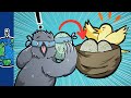 Microbiome and Bird Behavior Insights