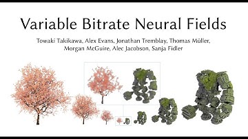 Variable Bitrate Neural Fields - SIGGRAPH 2022 Fast Forward