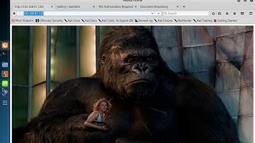 Scanning/Brute Forcing Web Directories