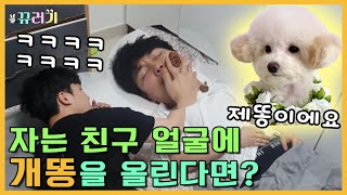 (ENG SUB) (Hidden camera) A puppy-loving friend who's gonna get sick with dog poop LOL