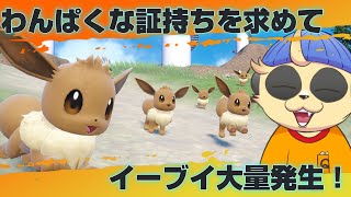 【ポケモンSV】イーブイ大量発生で遊ぼう【初見プレイ】