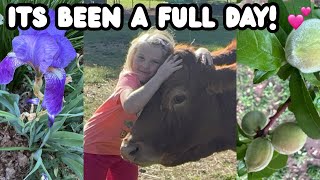Full Day Of Meals, Planting Seeds, Fixing Fences, and Fun! 🤩