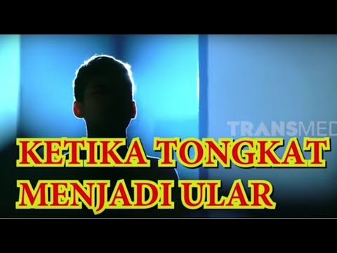 Ketika Tongkat Menjadi