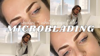 MICROBLADING HEALING PROCESS: What to Expect Post-Microblading, Q&A