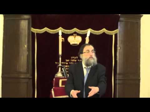 Cours du Rav Elie Lemmel "TazrÏa Metsora ou Ragot commérages et médisances"