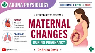 MATERNAL CHANGES IN PREGNANCY/MBBS/ First Year /Physiology