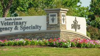 South Atlanta Veterinary Emergency And Specialty - Fayetteville, Ga
